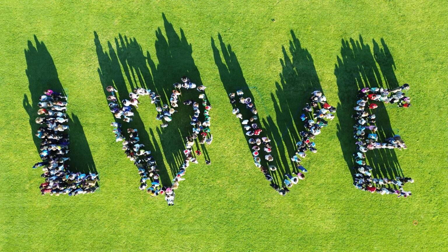 დიდი სიკეთის კვირეული ბავშვებისთვის 1