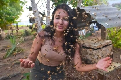 უნესტრო ფუტკრებს სამართლებრივი უფლებები.